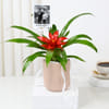 Shop Personalized Red Guzmania Plant And Fridge Magnet Combo