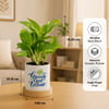 Shop Personalized Round Frame & Money Plant Diwali Combo