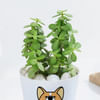 Gift Personalized Self-Watering Dog Planter With Jade Plant