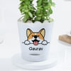 Buy Personalized Self-Watering Dog Planter With Jade Plant