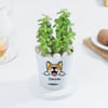Shop Personalized Self-Watering Dog Planter With Jade Plant