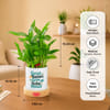Gift Personalized Teacher Appreciation Bamboo Plant