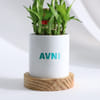 Buy Personalized Teacher Appreciation Bamboo Plant