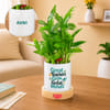 Personalized Teacher Appreciation Bamboo Plant