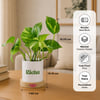 Gift Personalized Thriving Together Money Plant