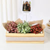 Buy Personalized Vibrant Fittonia Tray Garden