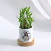 Buy Personalized Women's Day Bamboo Plant With Planter