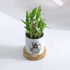 Shop Personalized Women's Day Bamboo Plant With Planter