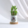 Personalized Women's Day Bamboo Plant With Planter Online