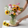 Gift Pet-Friendly - 1 Month Subscription