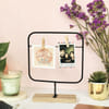 Photo Grid Stand With Clips - Rectangle - Single Piece Online