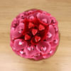 Pink and Red Bouquet Online