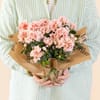 Pink Azalea Plant