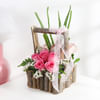 Buy Pink Innocence Gift