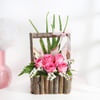 Shop Pink Innocence Gift