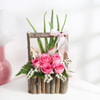 Pink Innocence Gift Online