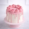 Shop Pink Rose Bouquet and Cake Combo