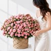 Buy Pink Rose Garden Basket
