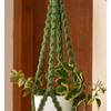 Plant Hanger - Pearl - Single Piece Online