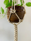 Gift Plant Hanger - The Double Snake