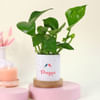 Gift Plant Me Some Happiness Gift
