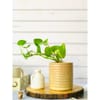 Planter - Brick Pattern - Ceramic - Single Piece Online