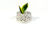 Buy Planter - Concrete Terrazzo -  Cracker Barrel - Cbr