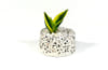 Shop Planter - Concrete Terrazzo -  Cracker Barrel - Cbr