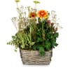 Planter 'In Gratitude' for the cemetery