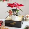 Gift Poinsettia Cheer