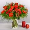 Pomme d'amour Online