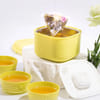 Buy Portable Travelling Tea Set - Assorted - Single Piece