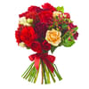 Premium Collection I Online