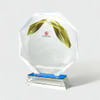 Prestige Acrylic Octagon Trophy Online