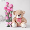 Pristine 10 Pink Roses in Vase with Teddy Online