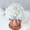 Gift Pristine Beauty Flower Vase
