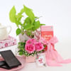Prosper Pink for Dearest Mum Online