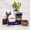 Prosperity Rakhi Hamper With Jade Plant