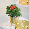 Gift Prosperous Flame