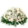 Pure blanc Online