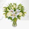 Pure Delight Online