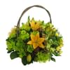 Pure Joy Basket Online