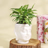 Gift Purifying Syngonium Plant in a Buddha Planter