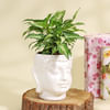 Gift Purifying Syngonium Plant in a Ceramic Buddha Planter