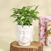 Purifying Syngonium Plant in a Ceramic Buddha Planter Online