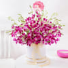 Gift Purple Orchid Elegance For Women's Day