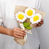 Buy Radiant Handcrafted Crochet Daisies Bouquet