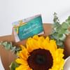 Shop Radiant Sunflower Bouquet