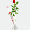 Red Long-Stemmed Rose In Gift Box With Vase Online