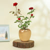 Buy Red Rose Wishes Plant